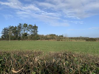 Ballinlass, Mountbellew, Co. Galway - Image 2