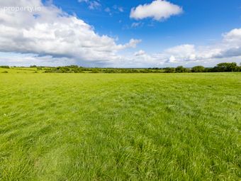 27.5 Ha (68 Acres), Killineer, Drogheda, Co Louth, Tullyallen, Co. Louth - Image 5