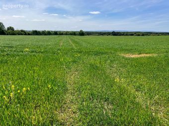 Clonmore, Tullamore, Co. Offaly - Image 3