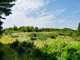 Kilmacoe, Curracloe, Co. Wexford - Image 4