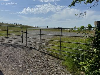 Land C. 49 Acres - 19.82 Ha., Mullycagh Upper, Donard, Co. Wicklow - Image 3