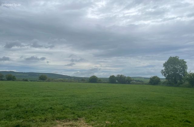 Badgershill, Glenville, Co. Cork - Click to view photos