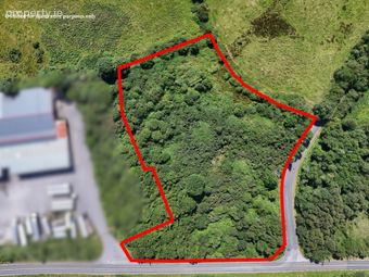 Lowpark, Charlestown, Co. Mayo, Charlestown, Co. Mayo - Image 2