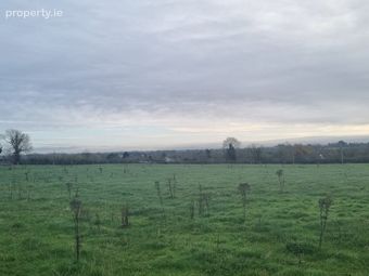 1 X 3.5 Acres Sites Spp, Palatine, Co. Carlow, Palatine, Co. Carlow - Image 3