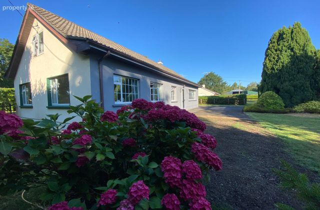 Macetown, Tara, Tara, Co. Meath - Click to view photos
