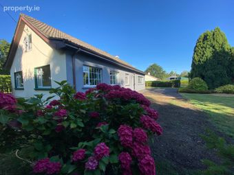 Macetown, Tara, Tara, Co. Meath
