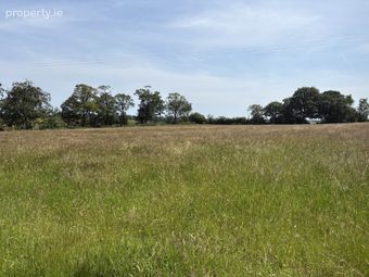 Banogue (c. 106 Acres), Gorey, Co. Wexford, Gorey, Co. Wexford - Image 5