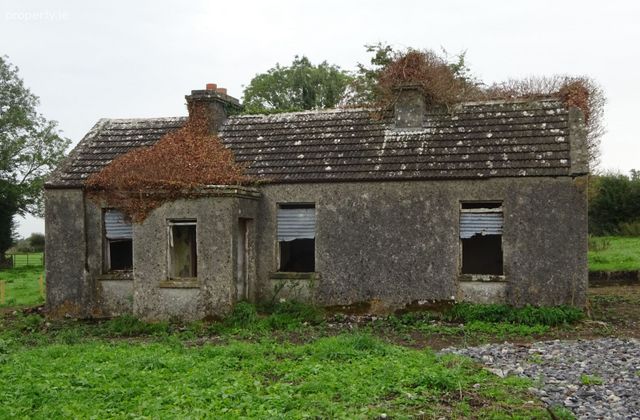 Killasolan, Mountbellew, Co. Galway - Click to view photos