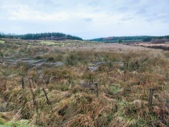 Shammerbaun, Kilkelly, Co. Mayo - Image 5