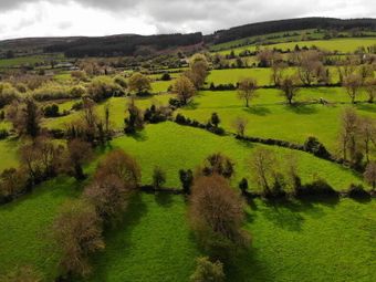 House, House And Circa 5.75 Acres At Kilmacomma, Clonmel, Co. Tipperary, Clonmel, Co. Tipperary - Image 2