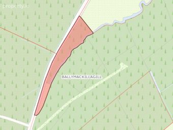 Forestry Land At Smithstown, Mullinavat, Co. Kilkenny, Mullinavat, Co. Kilkenny - Image 4