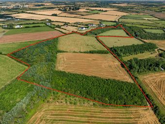 C. 8.78 Hectares (21.70 Acres) At Nicharee, Duncormick, Co. Wexford - Image 2