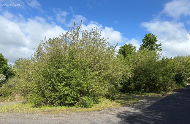 Brickhill West, Cratloe, Co. Clare, Cratloe, Co. Clare - Click to view photos