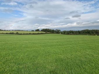 17 Acres, Of New Grass For 1st Cut Cut, Urra, Ballycommon, Co. Tipperary, Ballycommon, Co. Tipperary - Image 3
