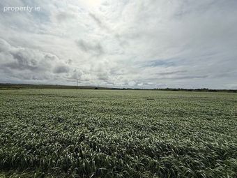 Residential Farm At Ardagh, Causeway, Co. Kerry - Image 2