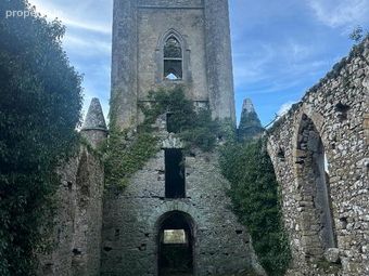 St Johns, Tubrid, Ballylooby, Co. Tipperary, Ballylooby, Co. Tipperary - Image 5