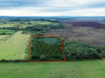 Rathure North, Killyon, Birr, Co. Offaly., Rath, Co. Offaly - Image 5