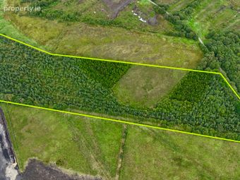 C.7.4 Acres At Drummin, Ballinagare, Castlerea, Co. Roscommon, Bellanagare, Co. Roscommon - Image 2