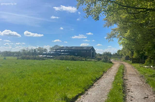 Windfield Demesne , Menlough , Ballinasloe , Co. Galway, Menlough, Co. Galway - Click to view photos