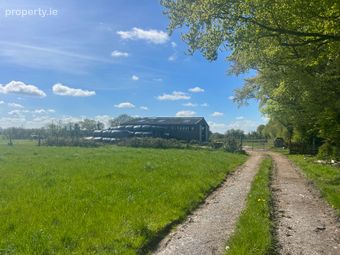 Windfield Demesne , Menlough , Ballinasloe , Co. Galway, Menlough, Co. Galway
