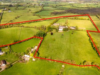 Ballylanigan House, Mullinahone, County Tipperary, Mullinahone, Co. Tipperary - Image 2