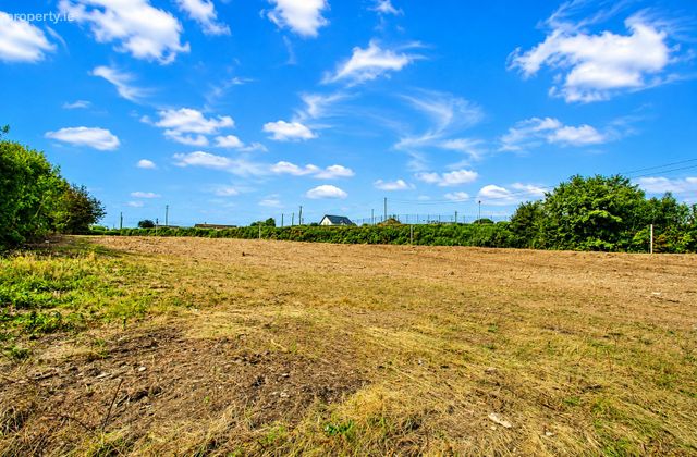Creagh Upper, Gorey, Co. Wexford - Click to view photos