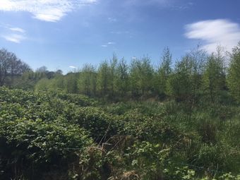 00, Kilnaleck, Co. Cavan