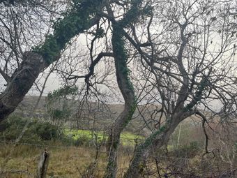 Ref 1090 - Site At Brackaharagh, Caherdaniel, Co. Kerry - Image 4