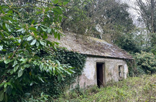 Clonydonnin, Castledaly, Athlone, Co. Westmeath, Ballinahown, Co. Westmeath - Click to view photos