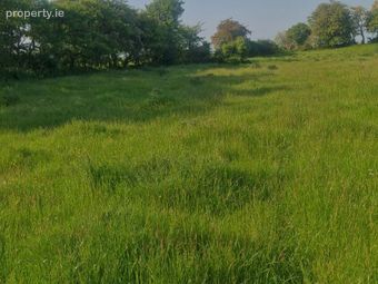 Cloonulty, Ballydangan, Athlone, Co. Roscommon - Image 3