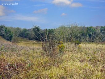 Ballyrisode, Goleen, Co. Cork - Image 2