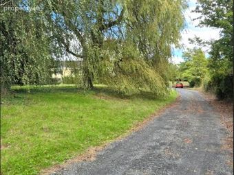 Wells, Bagenalstown, Co. Carlow, Bagenalstown, Co. Carlow - Image 3
