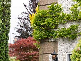 Sunnyside, Old Lucan Road, Palmerstown, Dublin 20 - Image 3