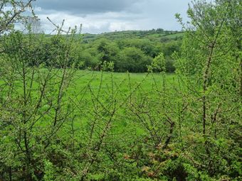 Fahymore, Kilmore, O'Briensbridge, Co. Clare - Image 4