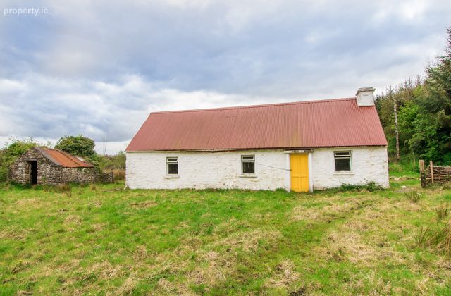 More, Leitrim, Frenchpark, Castlerea, Co Roscommon, Frenchpark, Co. Roscommon - Click to view photos