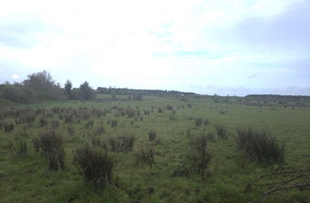 Eskreagh, Tubbercurry, Co. Sligo, Tubbercurry, Co. Sligo - Click to view photos