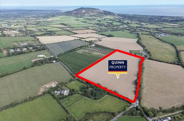 Kilmurry - C. 20 Acres, Gorey, Co. Wexford, Gorey, Co. Wexford - Click to view photos