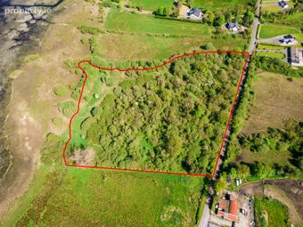 Land For Sale, Carrigeen And Kilgarve, Co. Roscommon, Rooskey, Co. Roscommon - Image 5