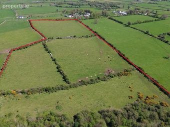 Cullentragh, Newtowncashel, Co. Longford - Image 4