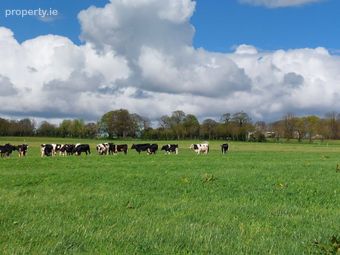 Carrigeen, Conna, Co. Cork - Image 4