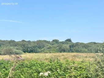 Tubber, Co. Clare, Caherea, Co. Clare - Image 3