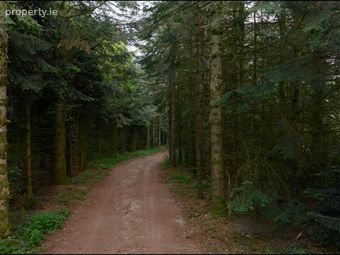 Loughmouge Upper, Dunlavin, Co. Wicklow - Image 5