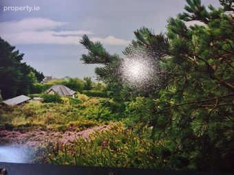 Bl&aacute;it&iacute;n Keepers Cottage, Windgate Road, Howth, Co., Howth, Dublin 13 - Image 4