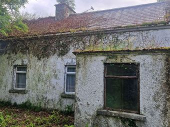 Pollatlugga, Cappataggle, Ballinasloe, Co. Galway, Rooaun, Co. Galway - Image 3