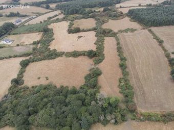 Lands Miltown, Graiguenamanagh, Co. Kilkenny - Image 4