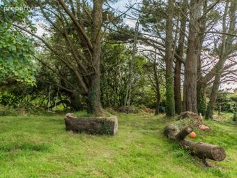 La Nua, Gubbeen, Schull, Co. Cork - Image 4
