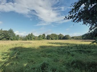 Land Approx. 1.99 Hectares, The Rookery, Abbeyleix, Co. Laois, Abbeyleix, Co. Laois - Image 2