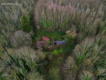 Fardrum, Athlone, Co. Westmeath - Image 5
