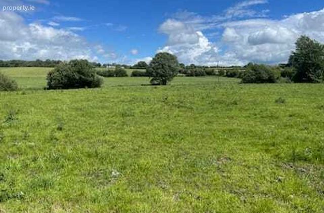 Grangemockler, Carrick On Suir, Carrick-on-suir, Co. Tipperary, Grangemockler, Co. Tipperary - Click to view photos