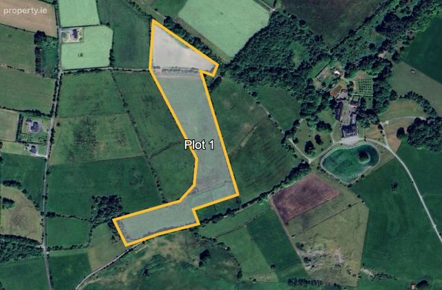 Moyne, Abbeyknockmoy, Tuam, Co. Galway - Click to view photos